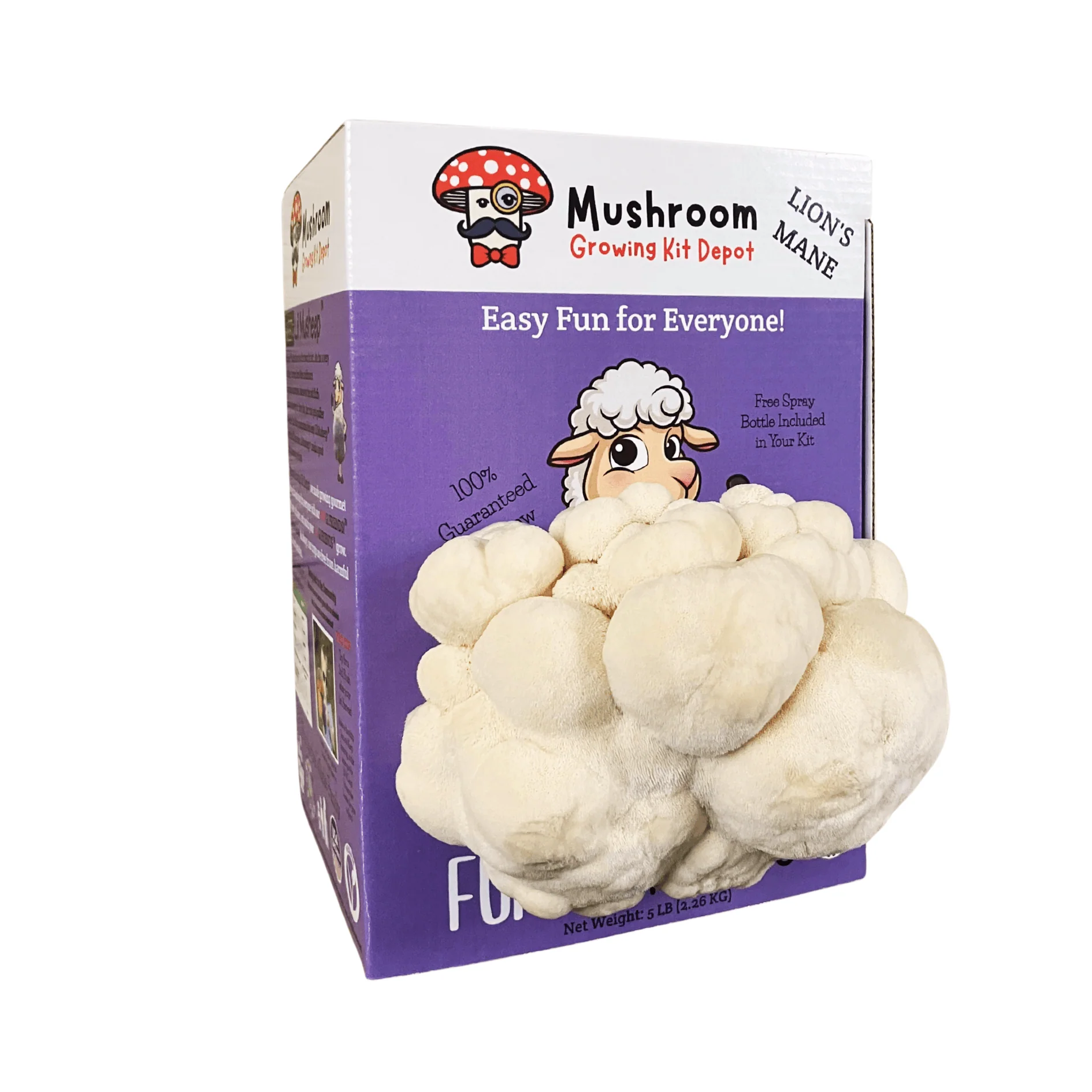 Product image 3
